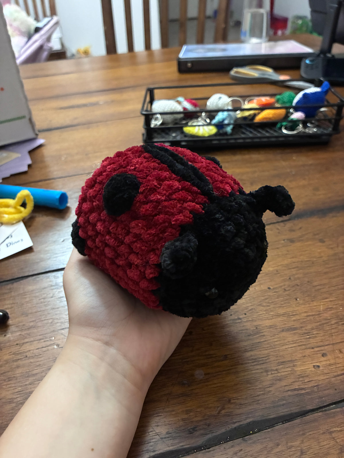 Lady Bugs